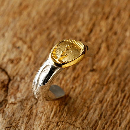Gold Ring Pierce