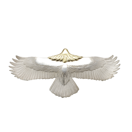 White tailed Eagle 2