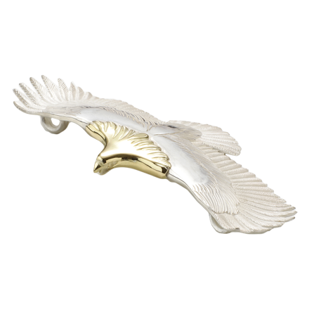 White tailed Eagle 2