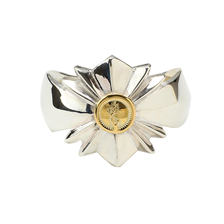 Shine Ring L