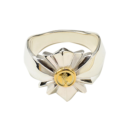 Shine Ring L