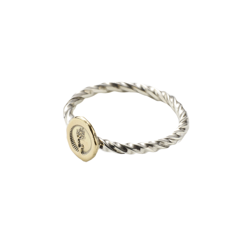 Twist Ring