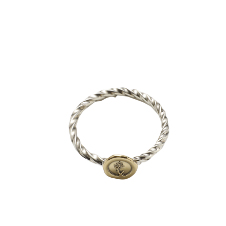 Twist Ring