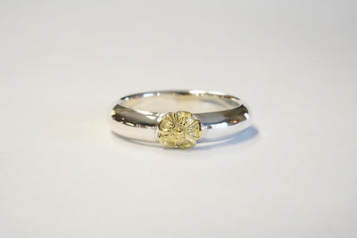 order ring 2